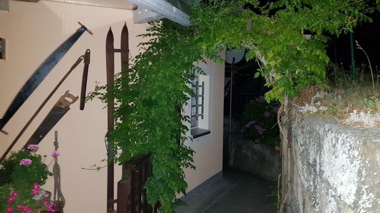Ferienwohnungen "Gruendelrast" Prossen Esterno foto